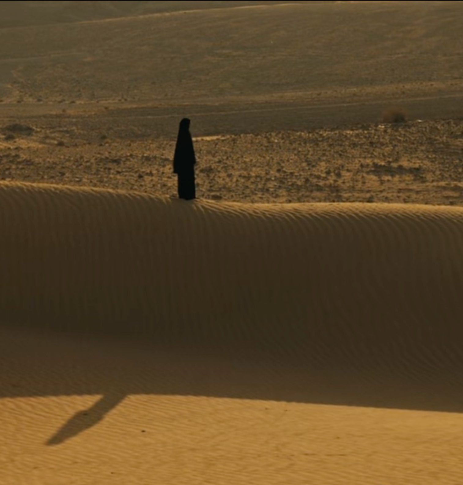 Desert landscape with sand dunes and a lone stick standing upright.